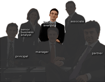 businessanalyst