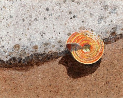 La serendipità delle SOA