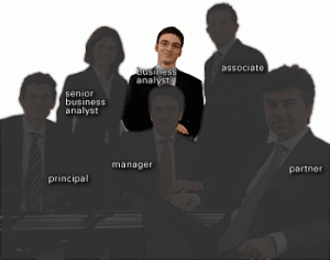 businessanalyst